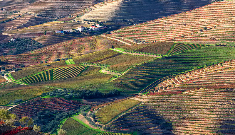 bicicleta no vale do douro