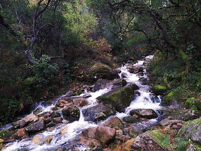 peneda-geres dans le nord du Portugal