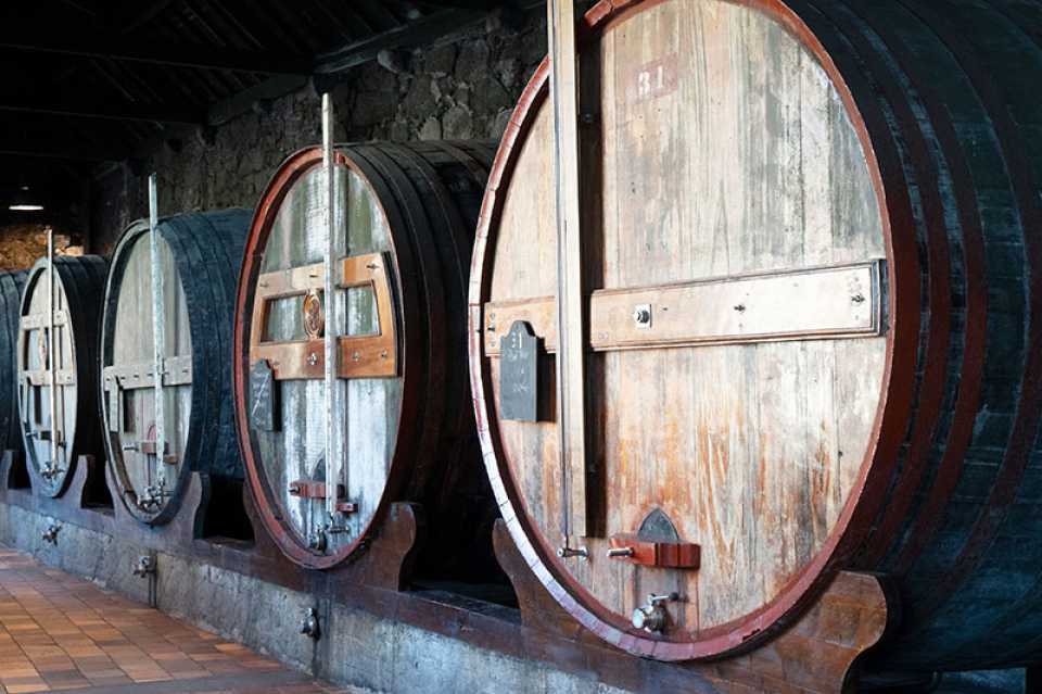 The Porto Wine Cellars: Our Top 5