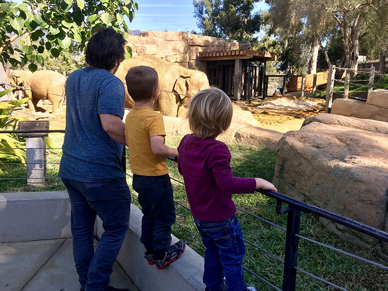 vacation family in zoo